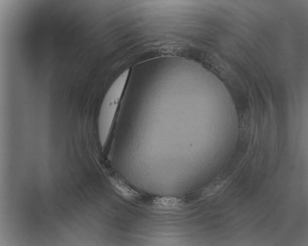 X0000075400137200610061940