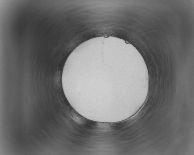 X0000075400144200610061940