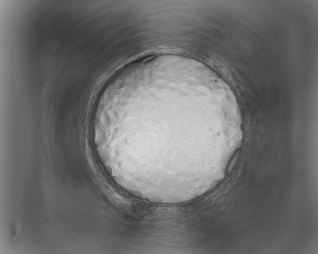 X0000075400145200610061940