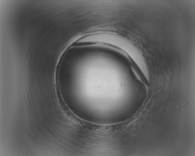 X0000075400148200610061940