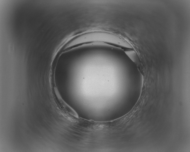 X0000075400152200610061940