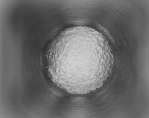 X0000075400161200610061940