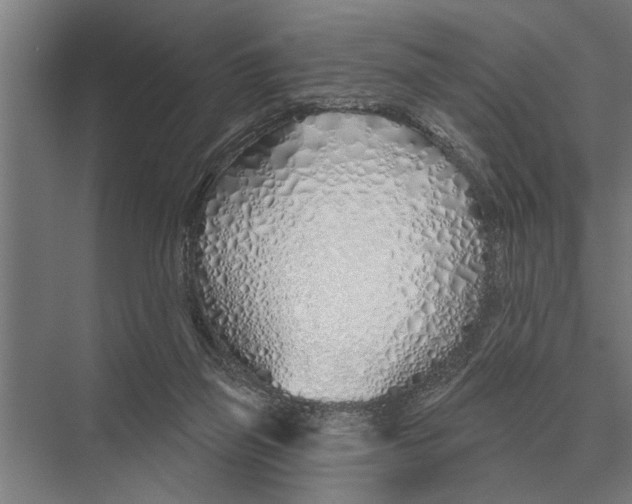X0000075400165200610061940