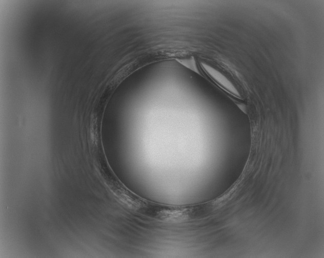 X0000075400170200610061940