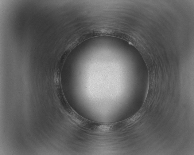 X0000075400176200610061940