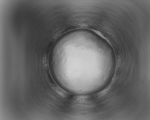 X0000075400182200610061940