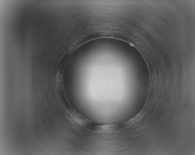 X0000075400184200610061940