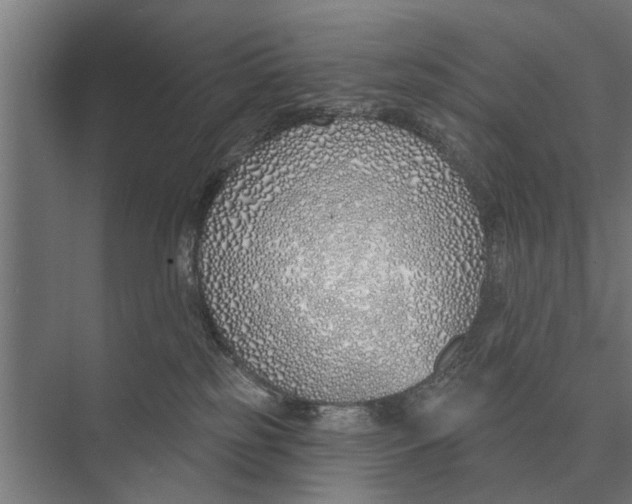 X0000075400185200610061940