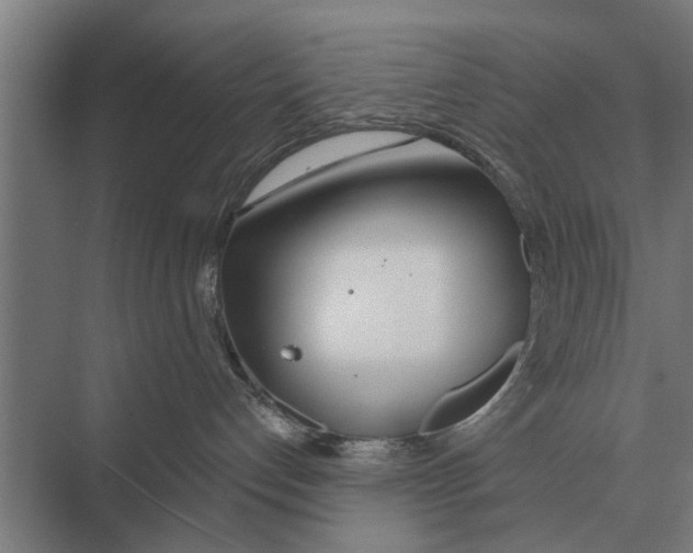 X0000075400192200610061940