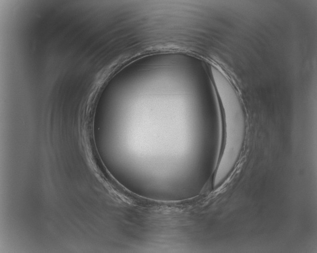 X0000075400193200610061940