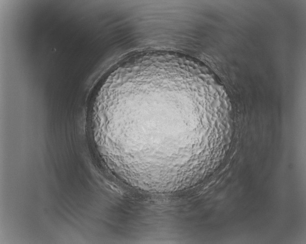 X0000075400194200610061939