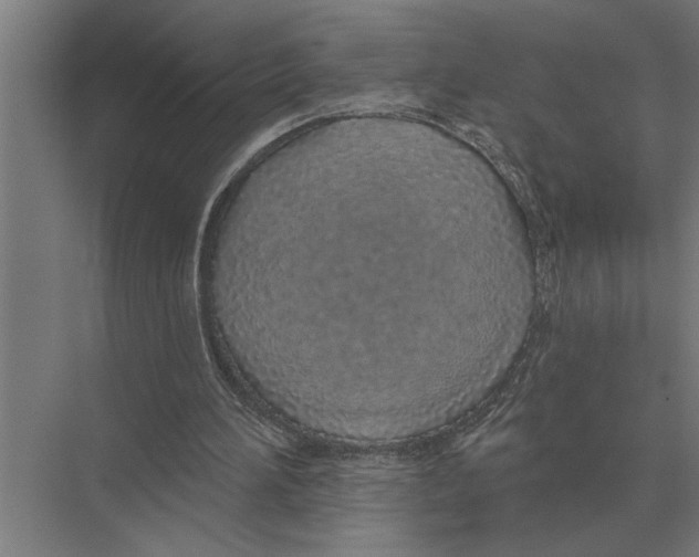 X0000075400196200610061939