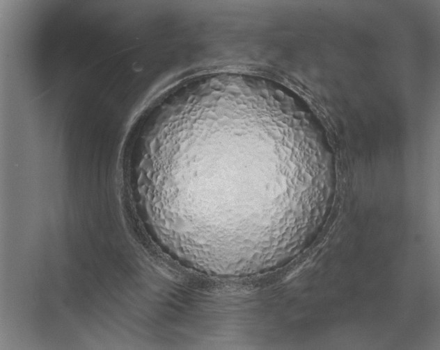 X0000075400198200610061939