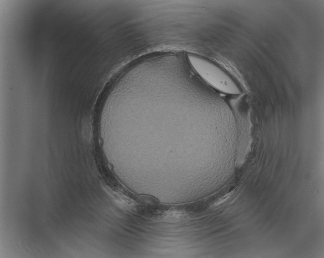 X0000075400204200610061939