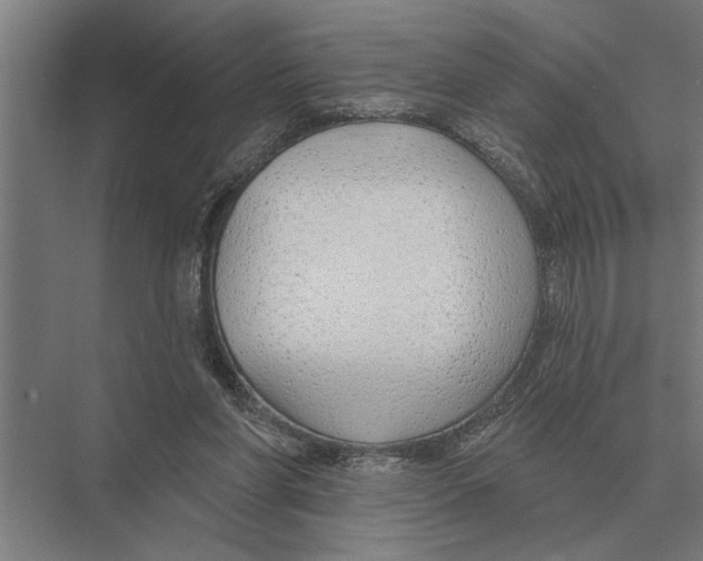 X0000075400206200610061939