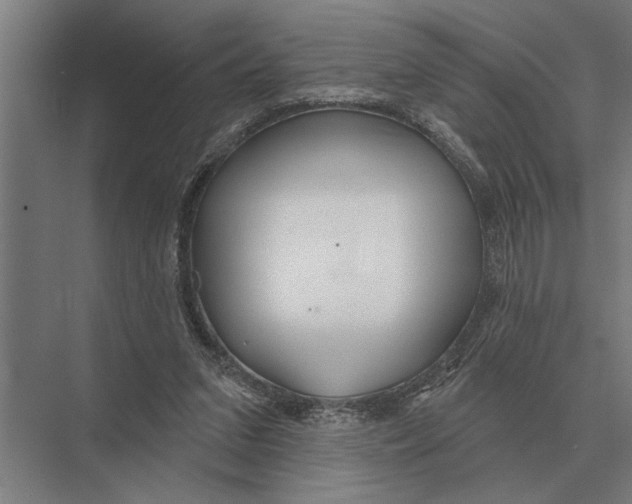 X0000075400207200610061939