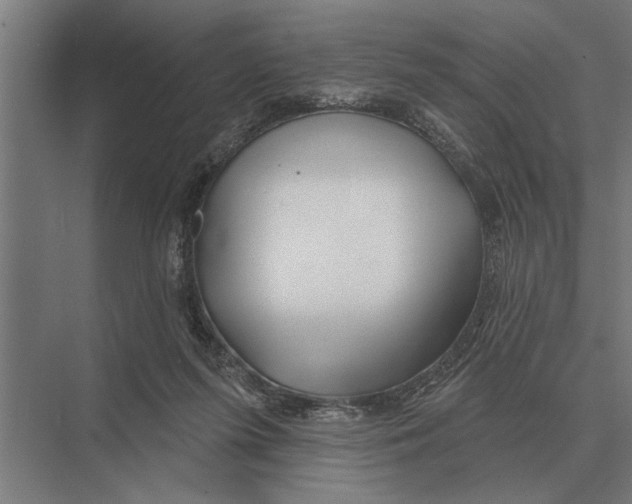 X0000075400215200610061939