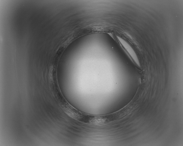 X0000075400217200610061939
