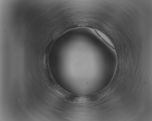 X0000075400219200610061939