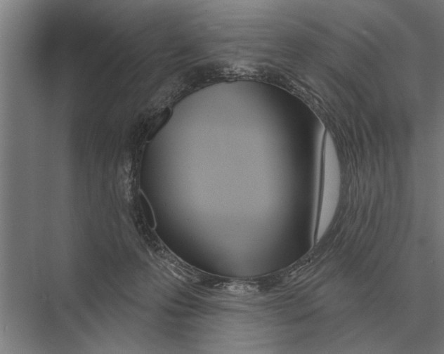 X0000075400223200610061939