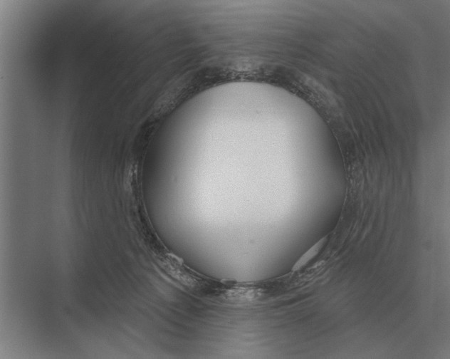 X0000075400225200610061939