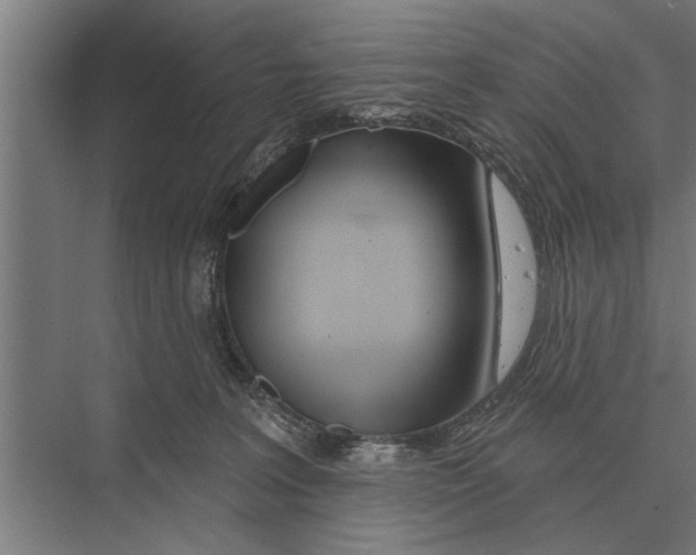 X0000075400227200610061939