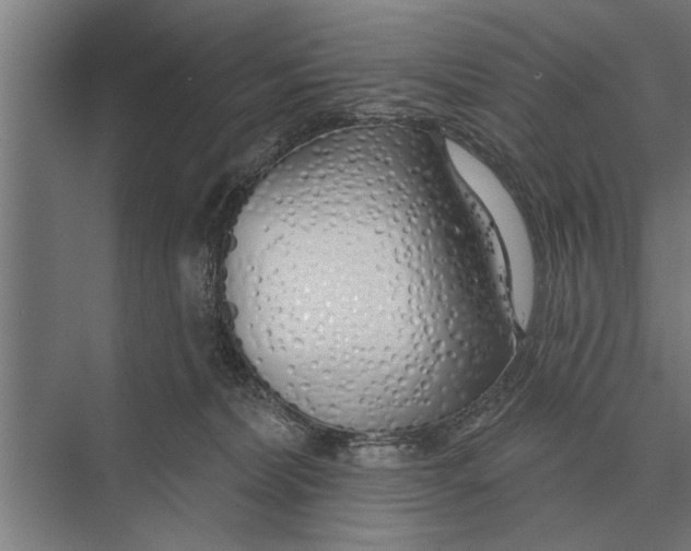 X0000075400228200610061939