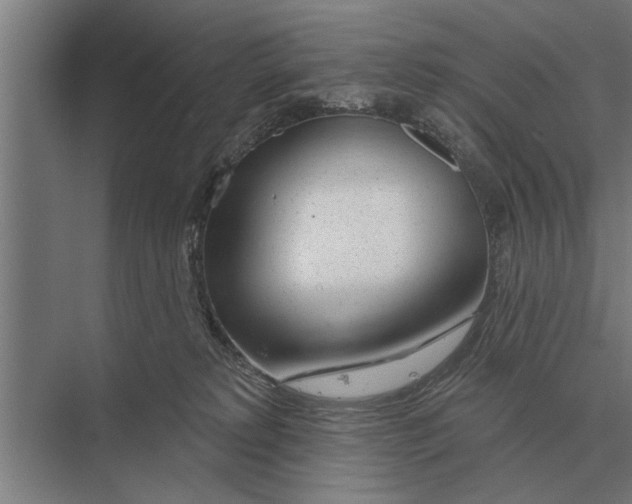 X0000075400229200610061939