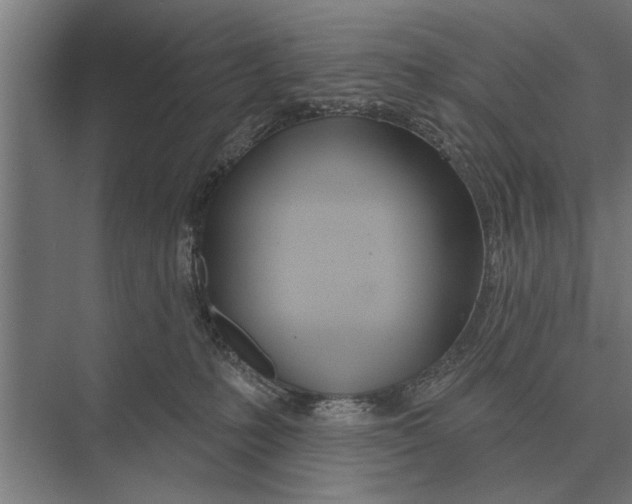 X0000075400231200610061939