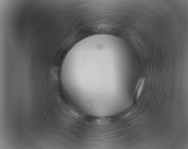 X0000075400232200610061939