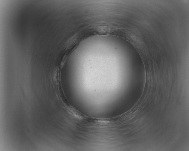 X0000075400233200610061939