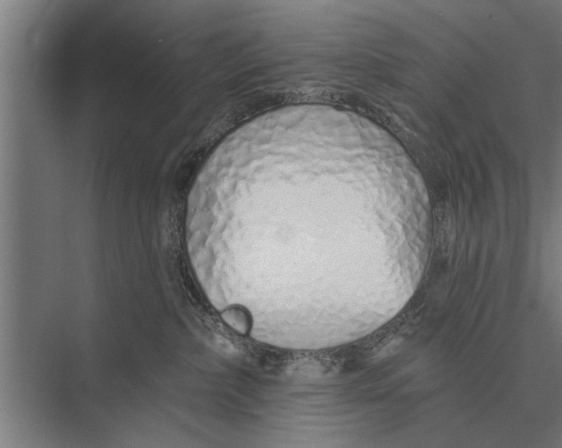 X0000075400236200610061939