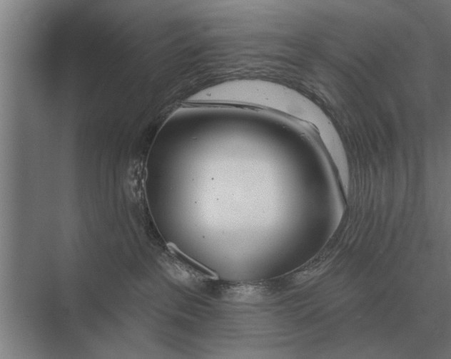 X0000075400237200610061939