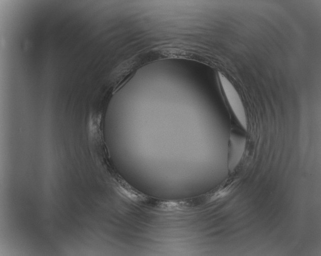 X0000075400239200610061939