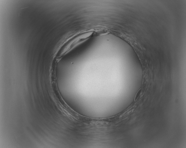 X0000075400242200610061938