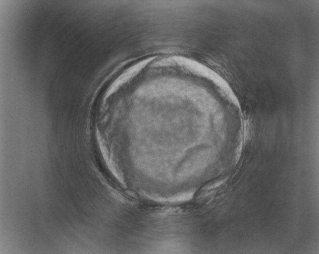 X0000075400243200610061938