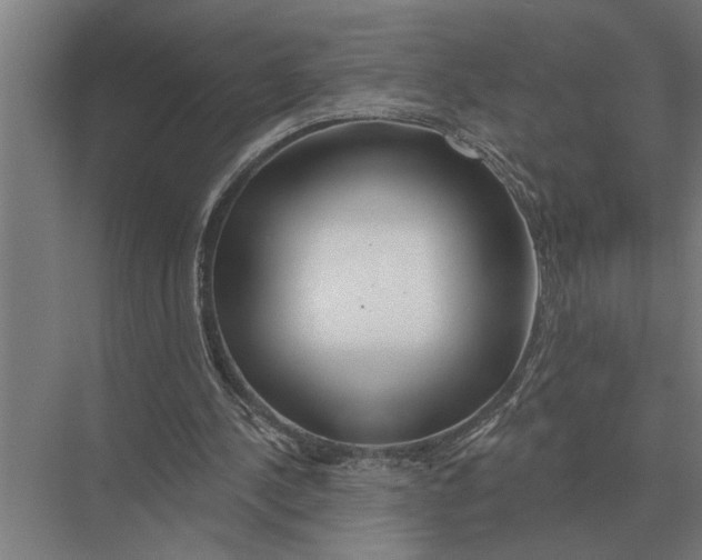 X0000075400244200610061938