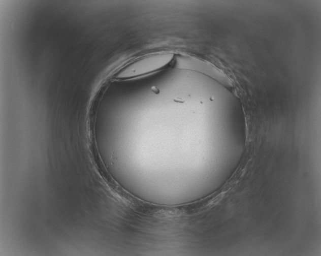 X0000075400245200610061938