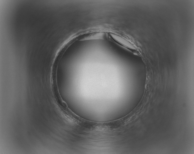 X0000075400248200610061938