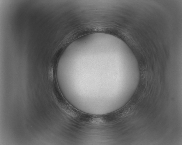 X0000075400262200610061938