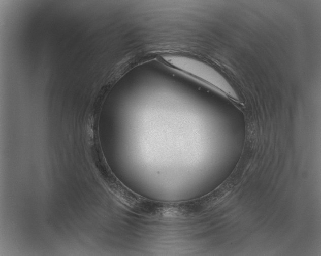 X0000075400264200610061938