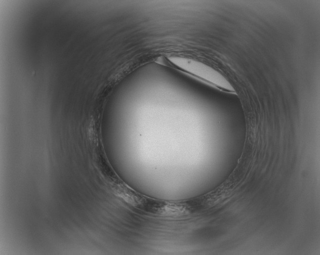 X0000075400270200610061938