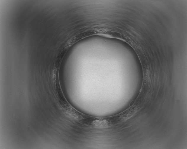 X0000075400271200610061938