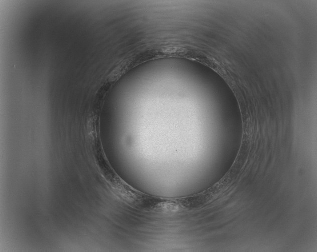 X0000075400272200610061938