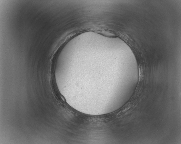 X0000075400291200610061938