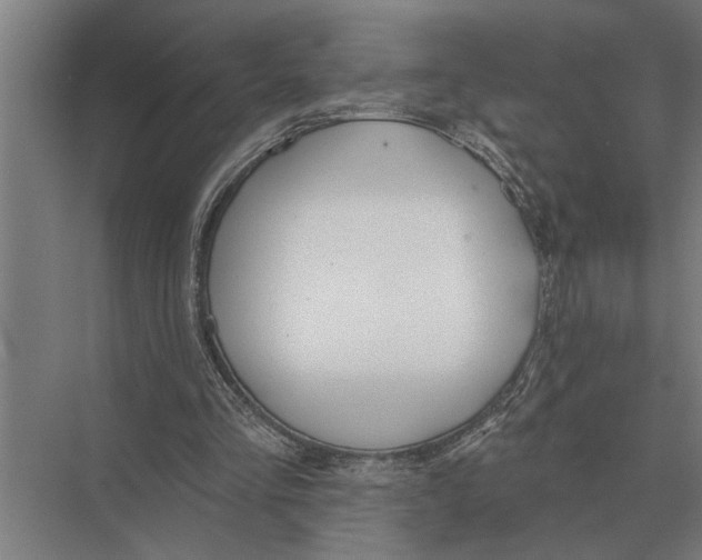 X0000075400293200610061938