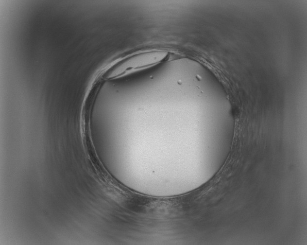 X0000075400294200610061938