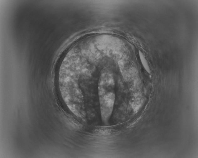 X0000075400295200610061938