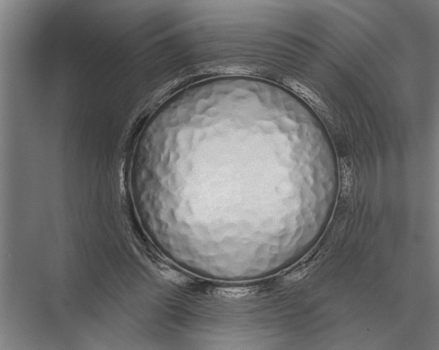 X0000075400302200610061938