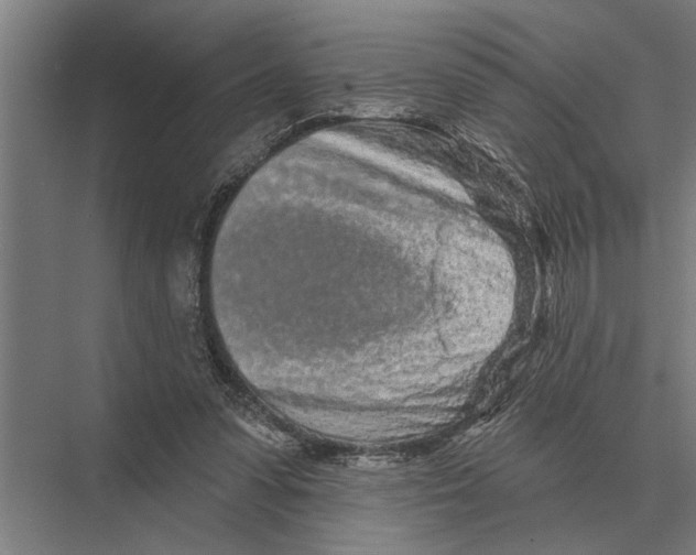 X0000075400303200610061938